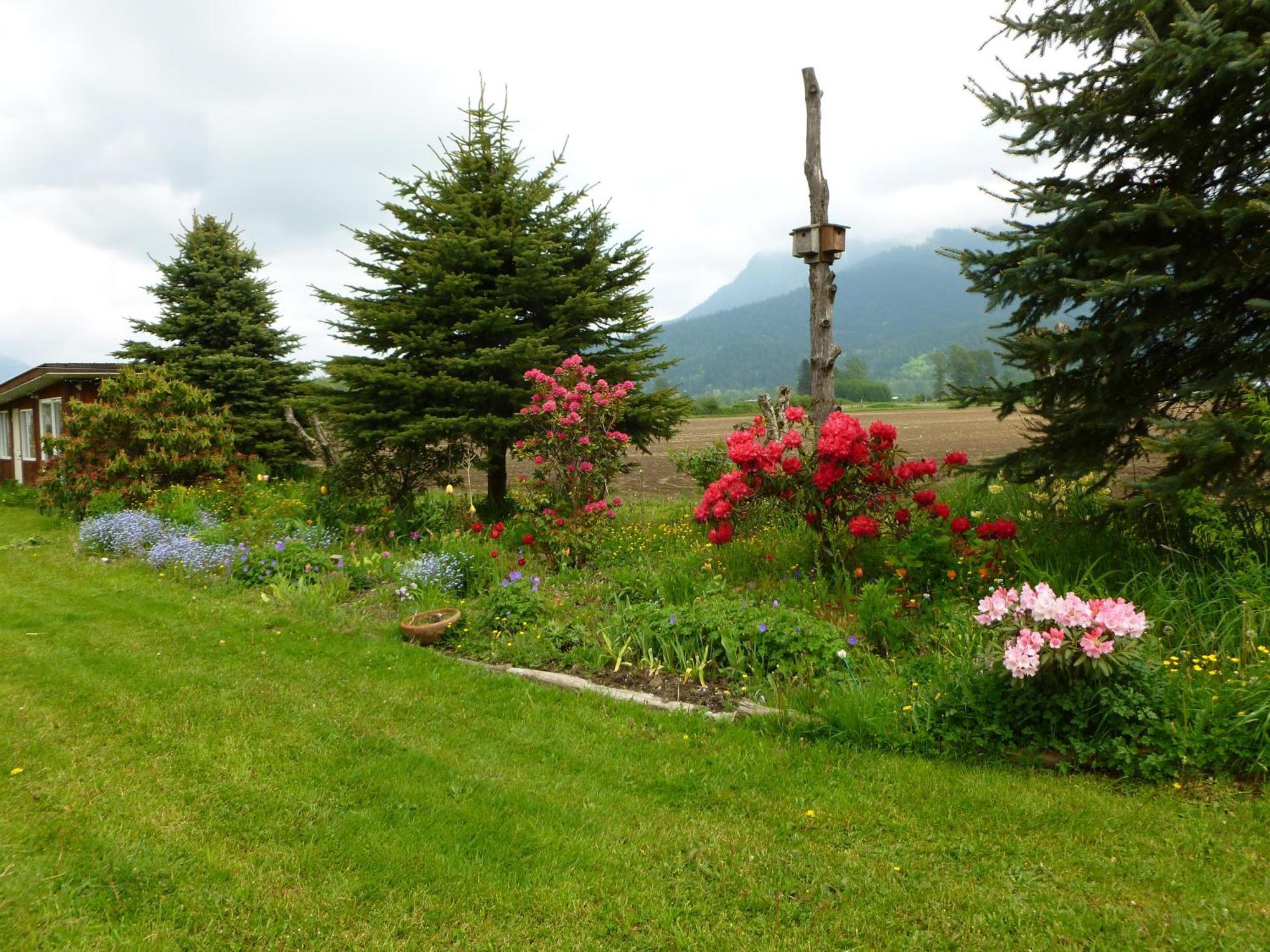 Harrison Hammond House Farmstay Harrison Mills エクステリア 写真
